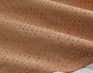 Polished Cotton champagne