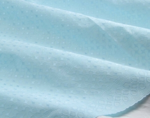 Polished Cotton aqua