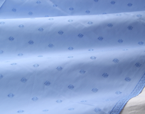 Polished Cotton light blue