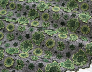 Net Lace black-green