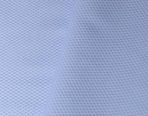 Fokus white-light blue