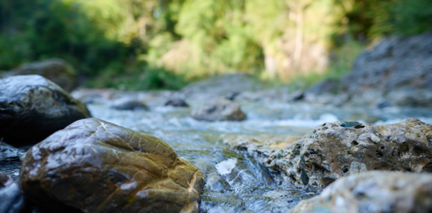 l'eau claire coule dans un ruisseau de montagne